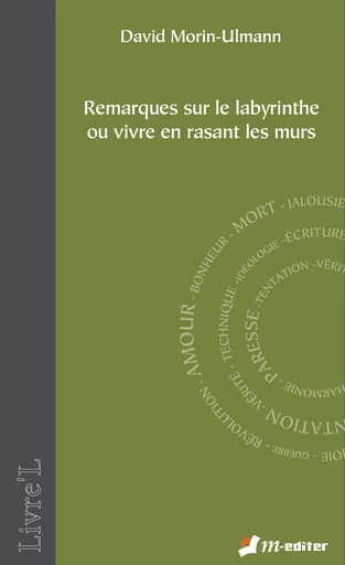 Remarques sur le labyrinthe ou vivre en rasant les murs - David MORIN ULMANN - Editions M-Editer